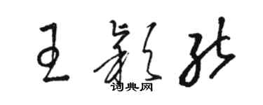 骆恒光王颖能草书个性签名怎么写