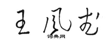 骆恒光王风武草书个性签名怎么写