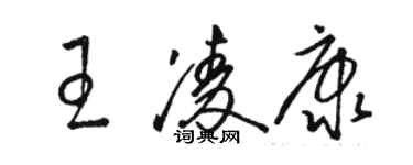 骆恒光王凌康草书个性签名怎么写