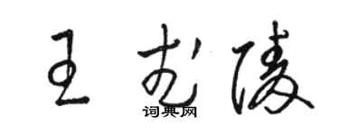 骆恒光王武陵草书个性签名怎么写