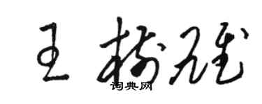 骆恒光王树雄草书个性签名怎么写