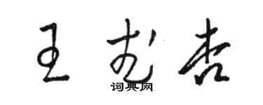 骆恒光王武杏草书个性签名怎么写