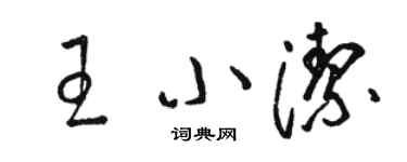 骆恒光王小洁草书个性签名怎么写