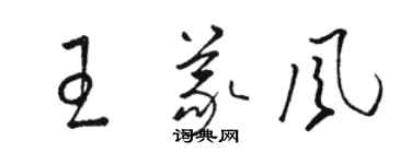 骆恒光王义风草书个性签名怎么写