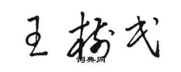 骆恒光王树民草书个性签名怎么写