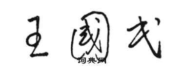 骆恒光王国民草书个性签名怎么写