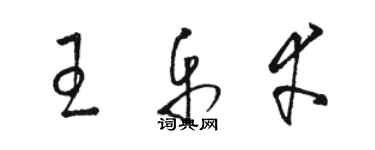骆恒光王乐幸草书个性签名怎么写