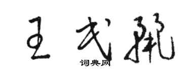 骆恒光王民丽草书个性签名怎么写