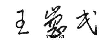 骆恒光王岗民草书个性签名怎么写