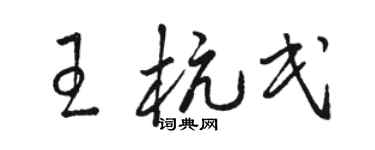 骆恒光王杭民草书个性签名怎么写