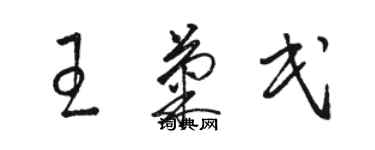 骆恒光王菊民草书个性签名怎么写