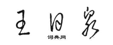 骆恒光王日泉草书个性签名怎么写