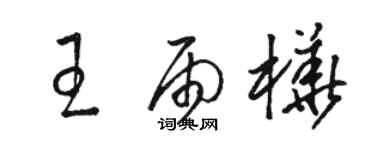 骆恒光王雨桦草书个性签名怎么写