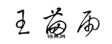 骆恒光王苗雨草书个性签名怎么写