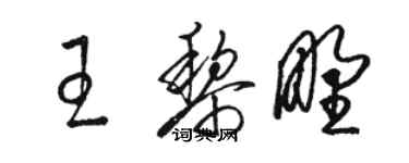 骆恒光王黎野草书个性签名怎么写