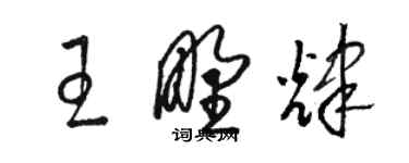 骆恒光王野辉草书个性签名怎么写