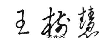 骆恒光王树慧草书个性签名怎么写