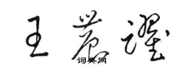 骆恒光王农跃草书个性签名怎么写