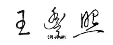 骆恒光王丰照草书个性签名怎么写