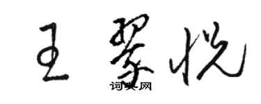 骆恒光王翠悦草书个性签名怎么写
