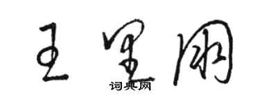 骆恒光王里朋草书个性签名怎么写