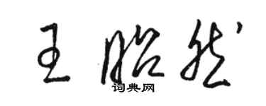 骆恒光王昭然草书个性签名怎么写