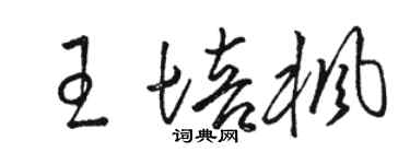 骆恒光王培枫草书个性签名怎么写