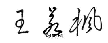 骆恒光王若枫草书个性签名怎么写