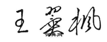 骆恒光王翼枫草书个性签名怎么写