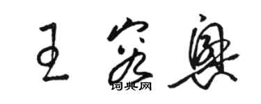 骆恒光王容兴草书个性签名怎么写