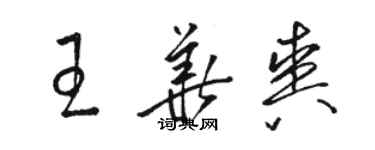 骆恒光王华爽草书个性签名怎么写