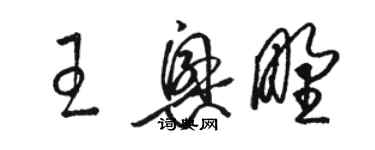 骆恒光王兴野草书个性签名怎么写