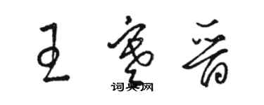 骆恒光王寒晋草书个性签名怎么写