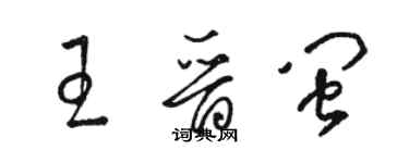 骆恒光王晋闽草书个性签名怎么写