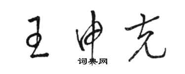 骆恒光王申克草书个性签名怎么写