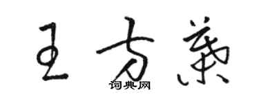 骆恒光王方叶草书个性签名怎么写