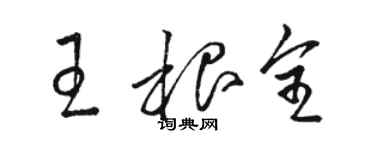 骆恒光王根全草书个性签名怎么写