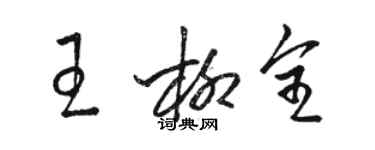 骆恒光王柳全草书个性签名怎么写