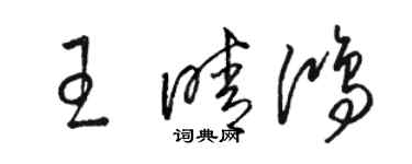 骆恒光王晴鸿草书个性签名怎么写