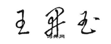 骆恒光王开玉草书个性签名怎么写