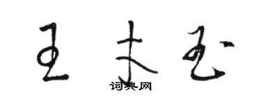 骆恒光王才玉草书个性签名怎么写