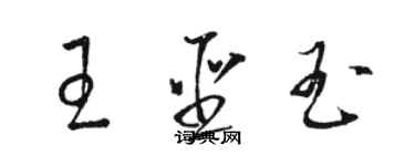 骆恒光王圣玉草书个性签名怎么写