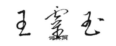 骆恒光王灵玉草书个性签名怎么写