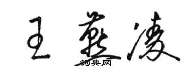骆恒光王燕凌草书个性签名怎么写