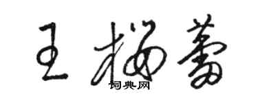 骆恒光王樱蕾草书个性签名怎么写