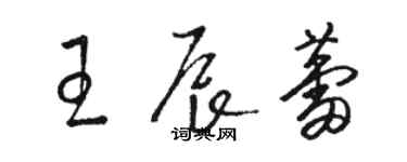 骆恒光王辰蕾草书个性签名怎么写