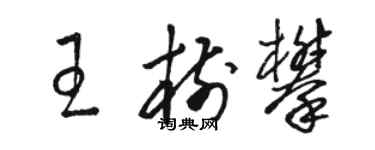 骆恒光王树攀草书个性签名怎么写