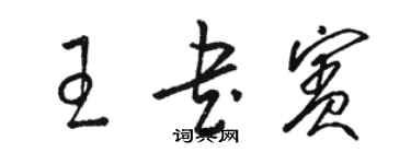 骆恒光王书宾草书个性签名怎么写
