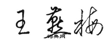 骆恒光王燕梅草书个性签名怎么写