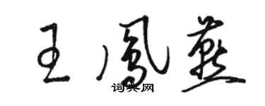 骆恒光王凤燕草书个性签名怎么写